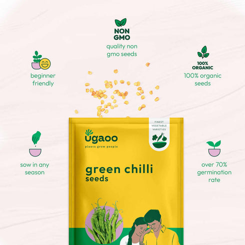 Ugaoo Chilli Vegetable Seeds